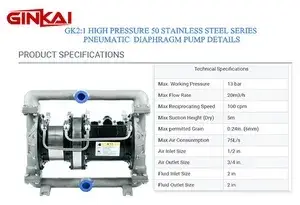 GK 2-1 High Pressure 50 Stainless Steel AODD Pump