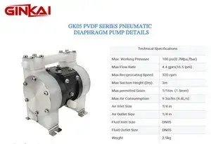 GK05 PVDF AODD Pump
