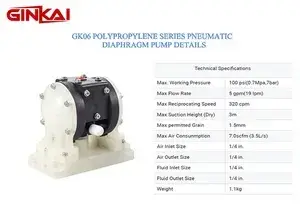 GK06 PP AODD Pump