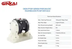 GK06 PVDF AODD Pump