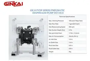 GK10 PVDF AODD Pump