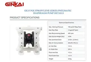 GK15 PP AODD Pump