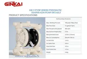 GK15 PVDF AODD Pump