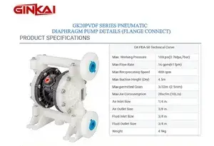 GK20 PVDF Flange AODD Pump