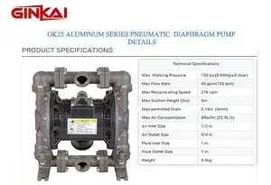GK25 Aluminum AODD Pump