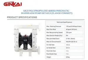 GK25 PP Flange AODD Pump