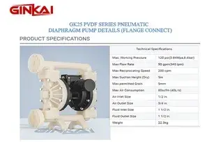 GK25 PVDF Flange AODD Pump