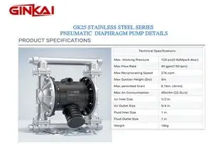 GK25 Stainless Steel AODD Pump