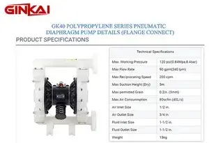 GK40 PP Flange AODD Pump