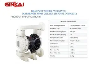 GK40 PVDF Flange AODD Pump
