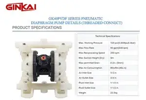 GK40 PVDF Threaded AODD Pump