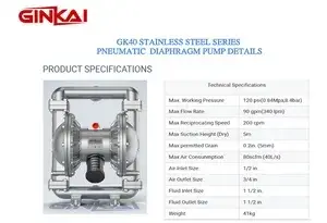 GK40 Stainless Steel AODD Pump