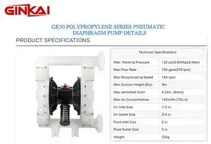 GK50 PP AODD Pump