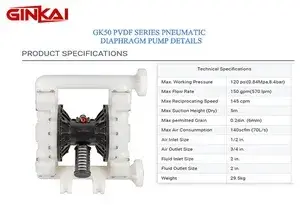 GK50 PVDF AODD Pump