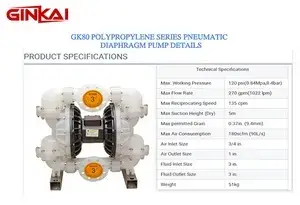 GK80 PP AODD Pump