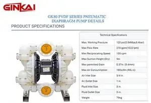 GK80 PVDF AODD Pump