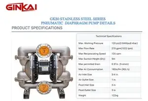 GK80 Stainless Steel AODD Pump
