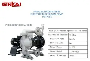 GKE40 Stainless Steel EODD Pump
