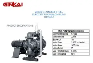 GKE80 Aluminum EODD Pump (1)