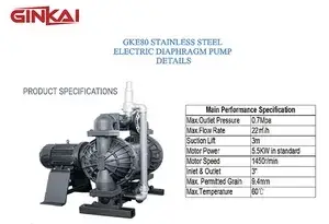 GKE80 Aluminum EODD Pump