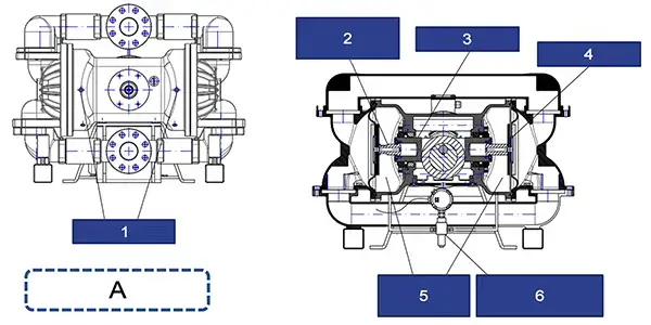 Components & Structure