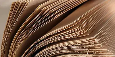 Pulp & Paper