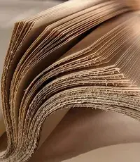 Pulp & Paper