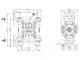3/4" PP AODD Pump