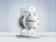 1" PTFE Air Operated Diaphragm Pump