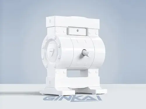 1/2" PTFE AODD Pump