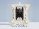 1/2" PVDF Air Operated Double Diaphragm AODD Pump