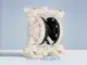 1/2" PVDF Air Operated Double Diaphragm AODD Pump