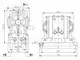 1/4" PVDF AODD Pump