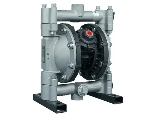 3/4" SS Air-Operated Double Diaphragm Pump